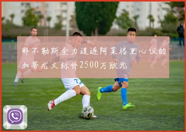 那不勒斯全力追逐阿莱格里心仪的加蒂尤文标价2500万欧元